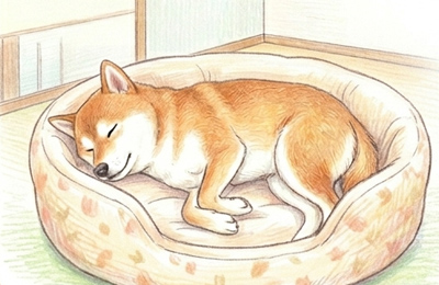 安らかな姿で